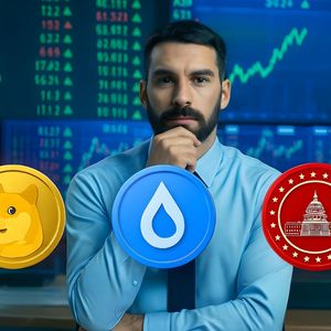 Dogecoin, SUI and MAGACOIN FINANCE Trend as Top Altcoins to Buy Ahead of the Next Bull Phase