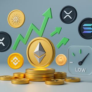 Best Altcoins to Buy as Ethereum Gas Fees Surge and Trading Volumes Spike