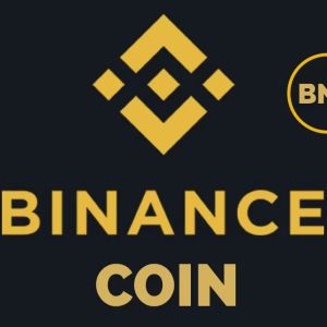 Bitcoin Exchange Binance's Native Token BNB Reaches All-Time High! Here Are the Details