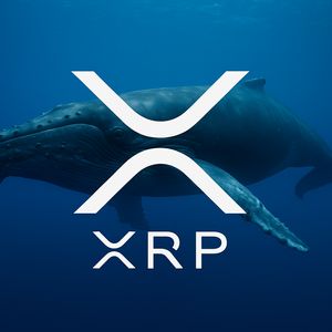 Whales Pour $1.5 Billion into XRP, Still Earning $8,700 a Day in Bear Market Test