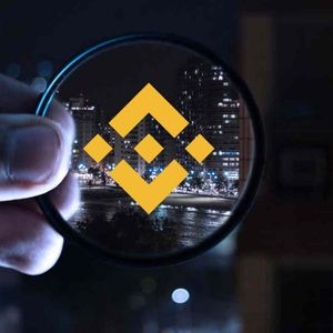 Binance Coin (BNB) Hits New Record Following Bitcoin! Analyst Reveals Next Target!