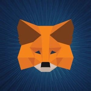 Metamask Users Note: Official Announcement Regarding Airdrop and New Altcoin