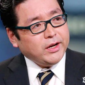 Ethereum Bull Tom Lee Speaks for the First Time After the Big Drop