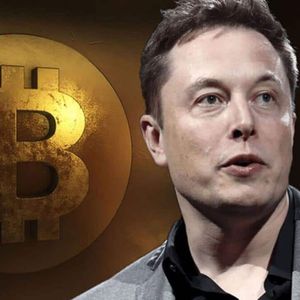 Tesla CEO Elon Musk Shares New Post About Bitcoin (BTC)