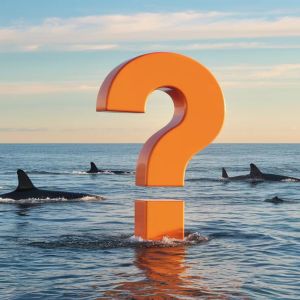 Wash Trading Suspicion for a Whale on Binance: They Are Targeting One Altcoin in Particular