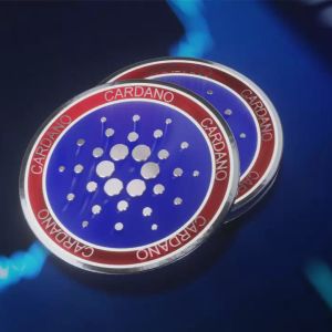 Significant Whale Activity in Cardano (ADA) – On-Chain Data Reveals