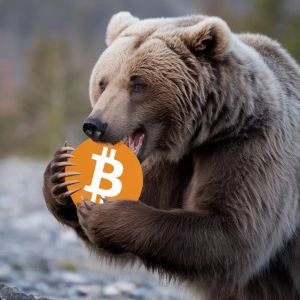 Why Did Bitcoin Fall? Can We Say We’ve Entered a Bear Market? Bloomberg Analyst McGlone Evaluates