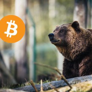 Bad News from CryptoQuant! "The Bear Market Has Started in Bitcoin, If It Continues, the Price Could Fall to These Levels!"