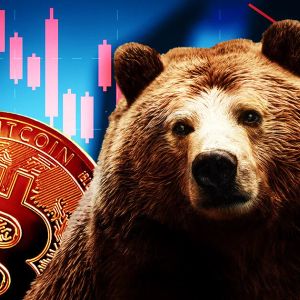 Bear Market Survivors: 5 Signs MemeToro and Other Meme Coins Are Built to Last Much Longer Than Bitcoin BTC Bearish Phase