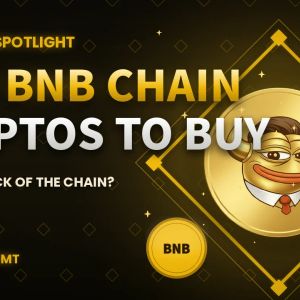 Binance BNB Holds Steady as MemeToro Leads BNB Chain Presale Activity: What’s Driving the Rotation?
