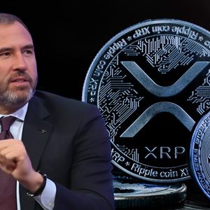Ripple CEO Brad Gralinghouse Compares XRP to Bitcoin, Explaining XRP’s Biggest Advantage! Here Are the Details