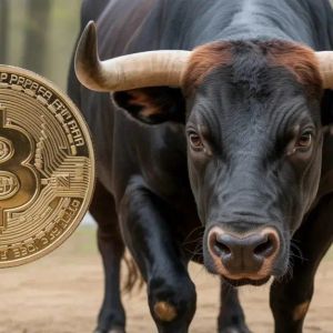 Have Bitcoin’s Recent Gains Confirmed a Recovery? Experts Weigh In