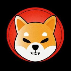 Why Did the Shiba Inu (SHIB) Price Suddenly Spike? What Will Happen Next?