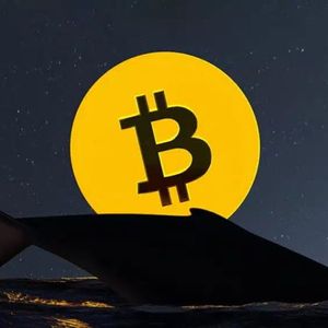 Bitcoin Whale That Remained Inactive for Four Years Transfers Approximately $46 Million Worth of BTC! Here Are the Details