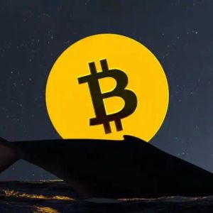 BTCs of a Bitcoin Whale That Has Been Dormant for 15 Years Have Started Moving