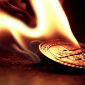 An Unbelievable Token Burn Event Has Begun on an Altcoin—Over $1 Million Is Being Burned Daily