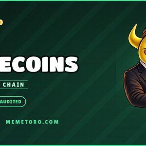 Best Crypto Presale on Binance Smart Chain: Why MemeToro Targets BSC For Its Launchpad