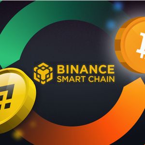 How to Buy Crypto Presales On Trust Wallet With BNB: Gas, Slippage And Transaction Confirmation