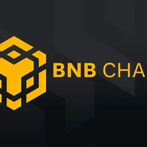 Tokenized Shares on BNB Chain Exceed $1 Billion: Overtaking Ethereum!