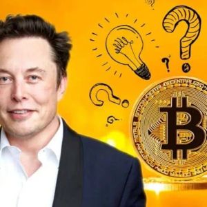 Elon Musk Comments on Binance Attack: “Every Day is Day Zero”! Here are the Details