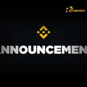 Binance Perpetual Contract: Unlock 50x Leverage on New B/USDT Pair