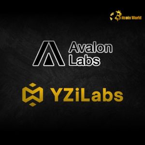 Exciting YZi Labs Investment Fuels Avalon Labs’ Bitcoin DeFi Expansion