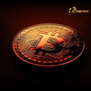 Bitcoin Warning: Signals Point to Potential Price Correction After 7-Week Rally