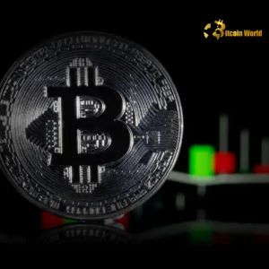 Bitcoin Price: Warning Signs Emerge for Potential Correction