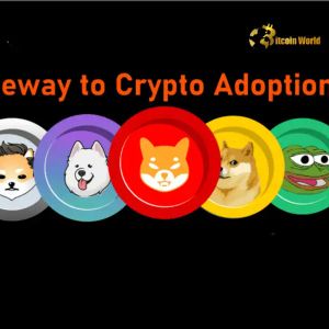 Memecoins: A Surprising New Gateway to Crypto Adoption