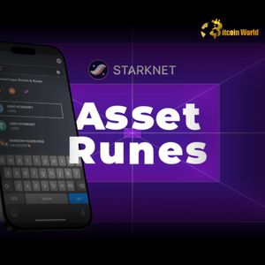 Revolutionary Starknet Asset Runes Bring USDC to Bitcoin