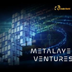 Metalayer Ventures Unleashes $25M Fund to Accelerate Blockchain Startups