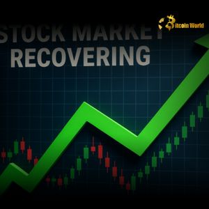 US Stock Market Rises: Positive Open Signals Emerge for Crypto Investors