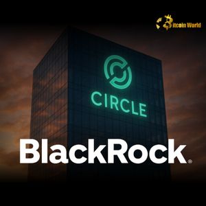 Circle IPO: BlackRock Makes Strategic Cryptocurrency Investment Move