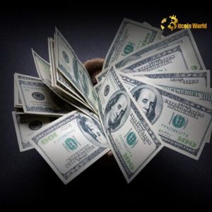 Unlock Strategies: What to Do With Too Many US Dollars in Cash