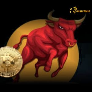 Unstoppable: Why the Current Bitcoin Bull Cycle Appears More Robust