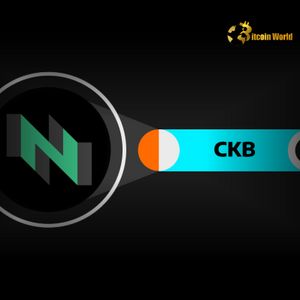 CKB Token: Urgent DAXA Warning Issued by South Korea’s Crypto Alliance