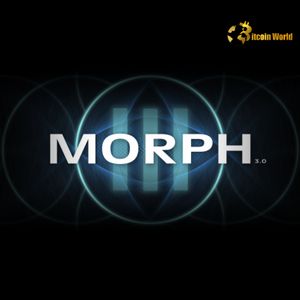 Strategic Morph Leadership Transition Underway