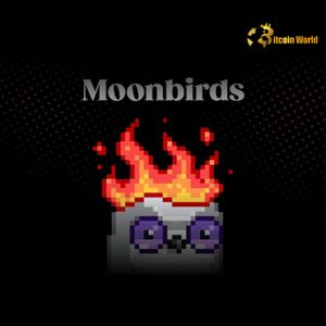 Strategic Yuga Labs Divests Moonbirds IP to Orange Cap Games
