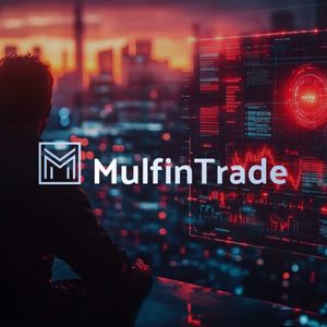Mulfin Trade: Individual Approach and Favourable Terms