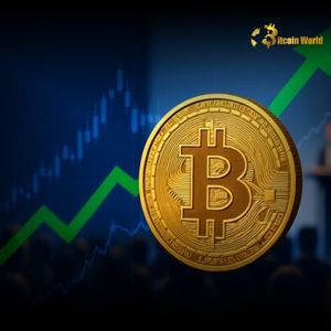 Institutional Bitcoin Buying Reaches Massive 417K BTC Total