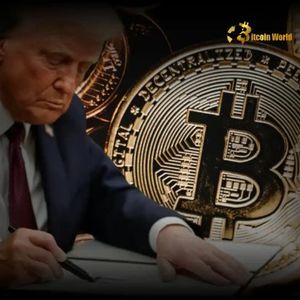 TRUMP Wallet Waitlist Opens: Secure Your Spot for Future Digital Asset Management