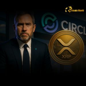 Ripple Clarifies: Brad Garlinghouse Dismisses Circle USDC Acquisition Rumors Amidst Crypto News
