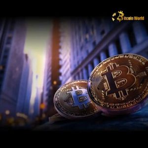 Bitcoin Allocation: Unlock Superior Returns in Your Traditional Portfolio, Says Bitwise CIO
