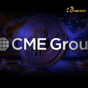 Crypto Regulation: Senator Warren’s Urgent Push to Close GENIUS Act Wallet Loophole