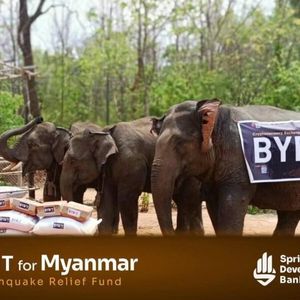 Bybit donates over $300,000 to support earthquake relief in Myanmar and Thailand