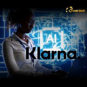 Klarna CEO Reveals Brilliant Strategy for AI and Human Service