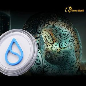 Accelerate: Sui and Dubai VARA Partner to Boost Crypto Startups