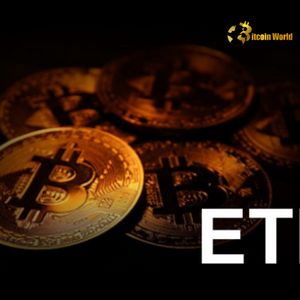 US Spot Bitcoin ETF: Unveiling Key Trends in $87M Net Inflow