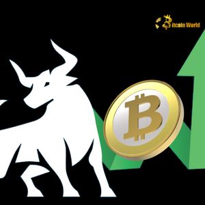Bitcoin: Massive Drop in Exchange Balances Signals Bullish Future, Says Sygnum Bank