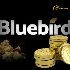 Bitcoin Treasury Strategy: Bluebird Mining Makes Bold Shift Using Gold Revenue